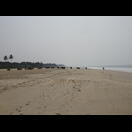 Die Kuhherde beendet ihren Strandausflug